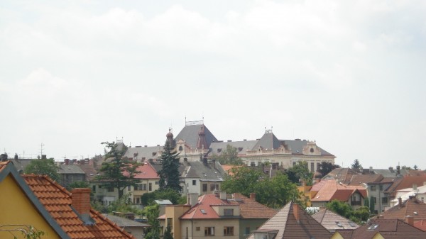 DSC08349