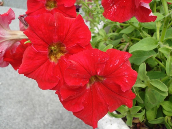 DSC08640