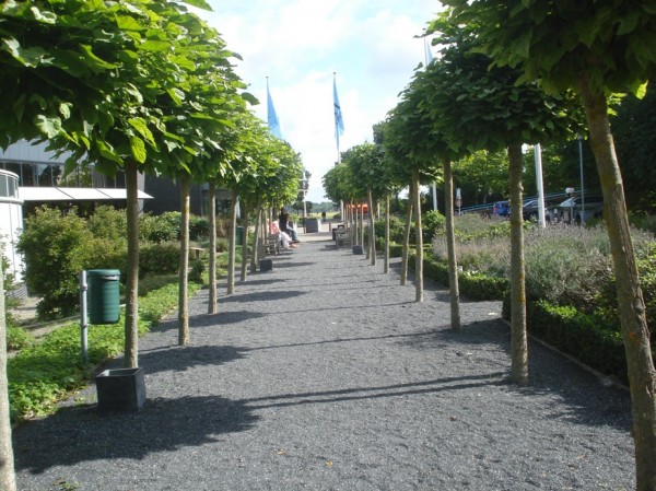 DSC09922
