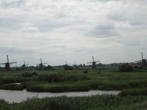 DSC09005