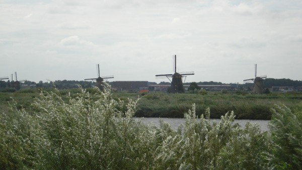 DSC09011