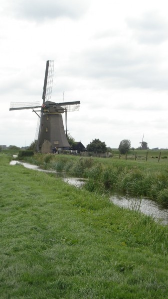 DSC09030