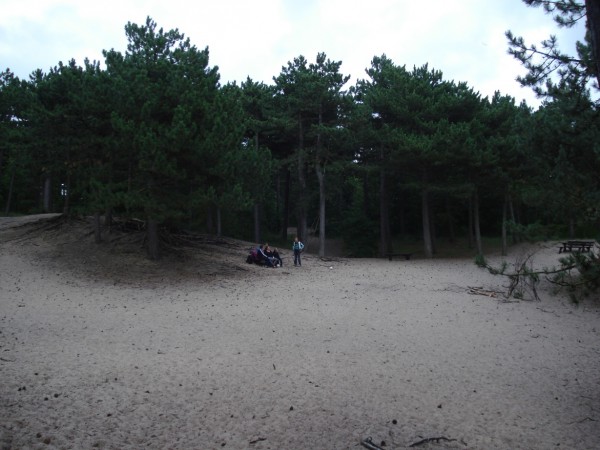 DSC09178