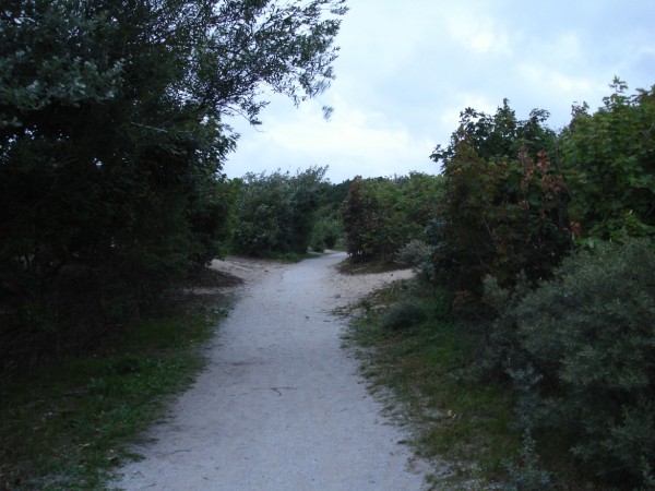 DSC09181