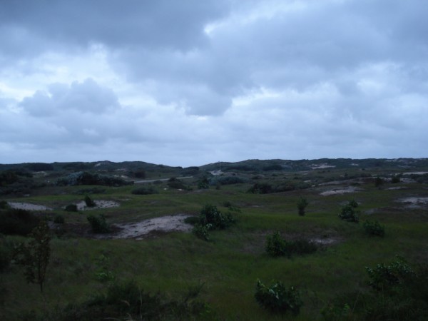DSC09182