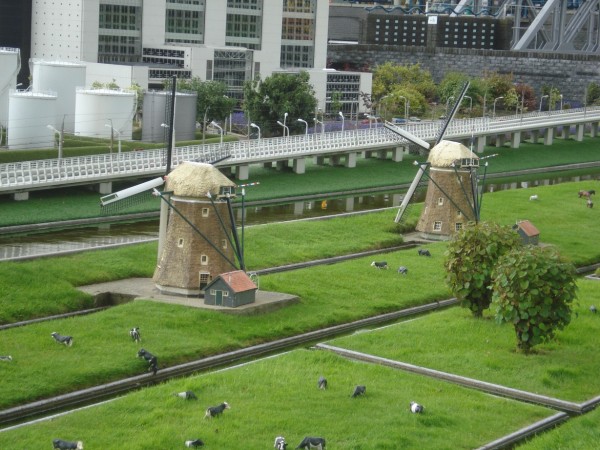 DSC09363