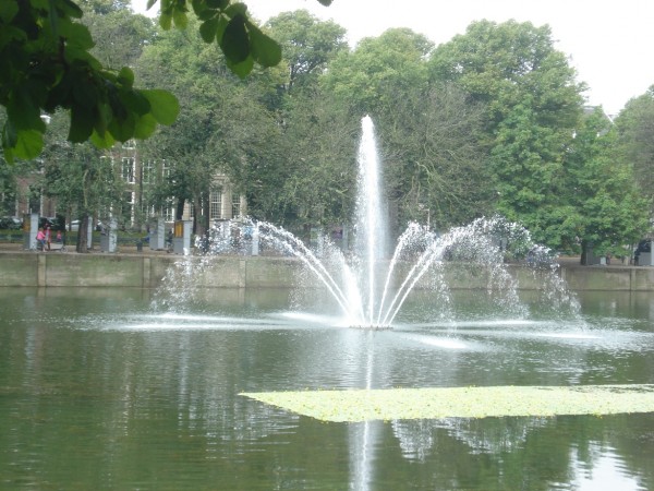 DSC09401