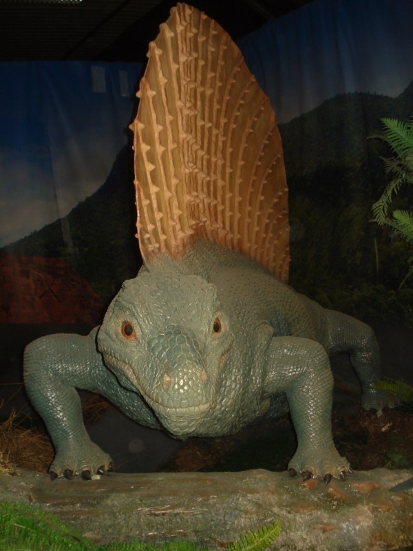 DSC03005