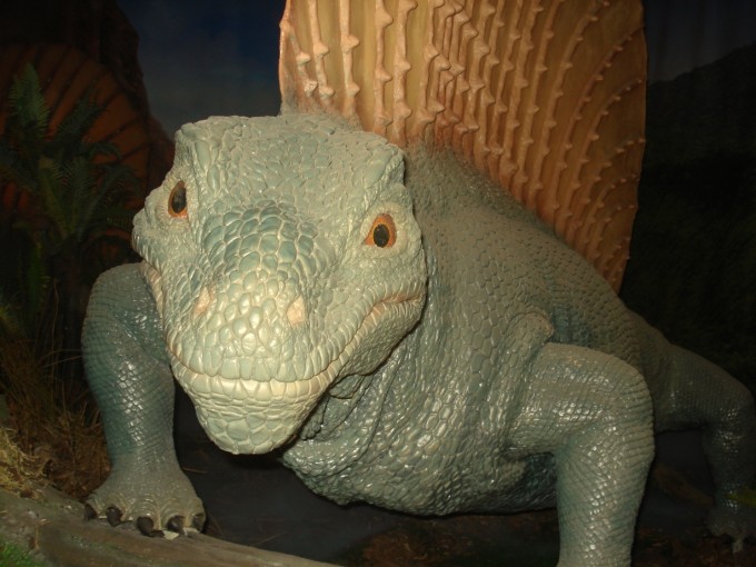 DSC03006