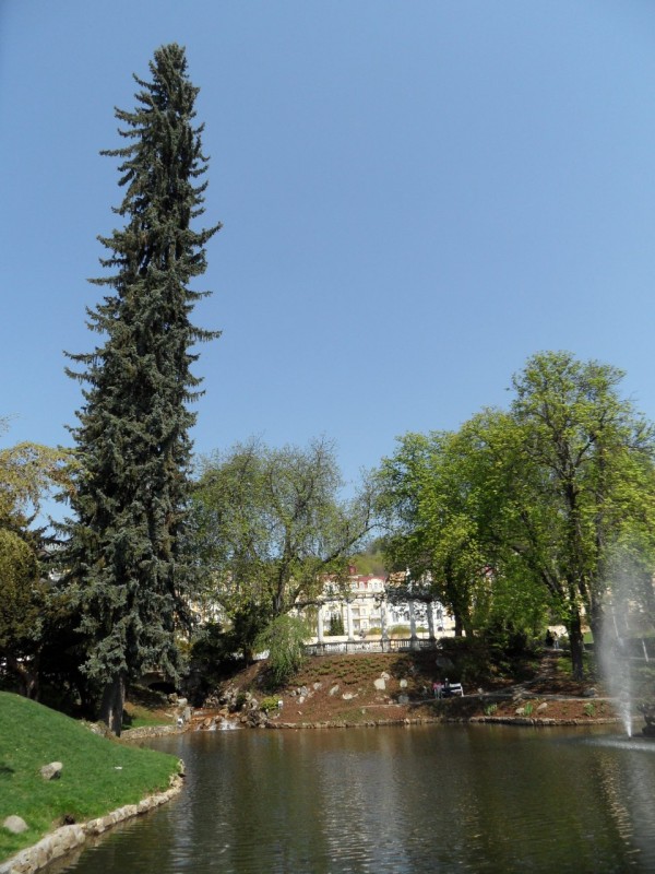 SAM_0066