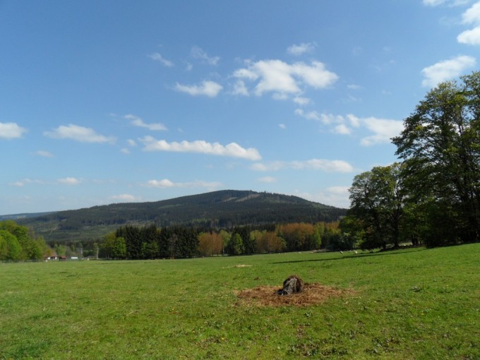 SAM_0363