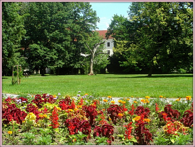 Kopie - SAM_1347