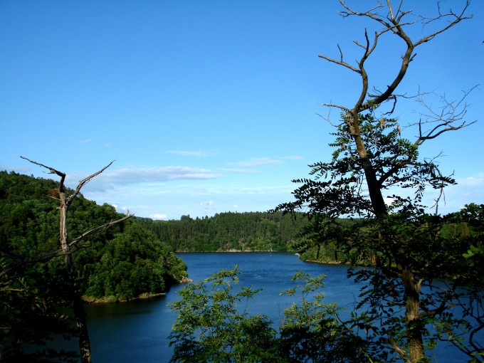 DSC04208