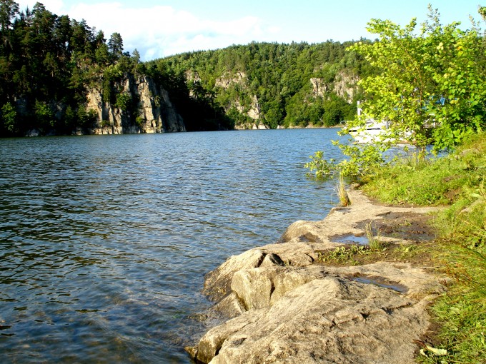 DSC04219