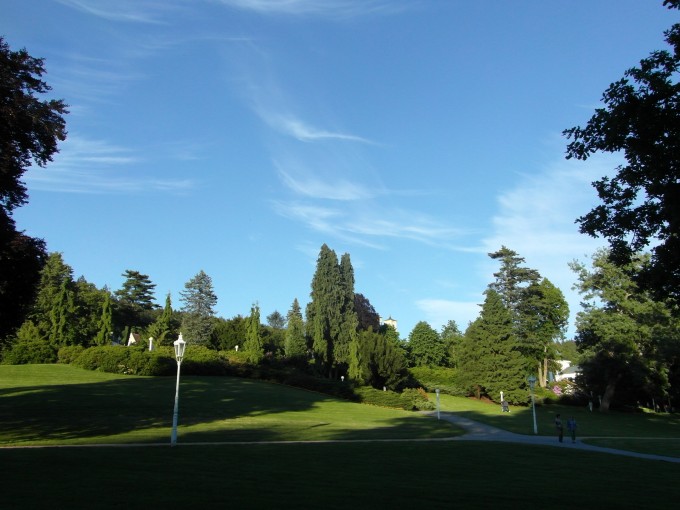 SAM_0822