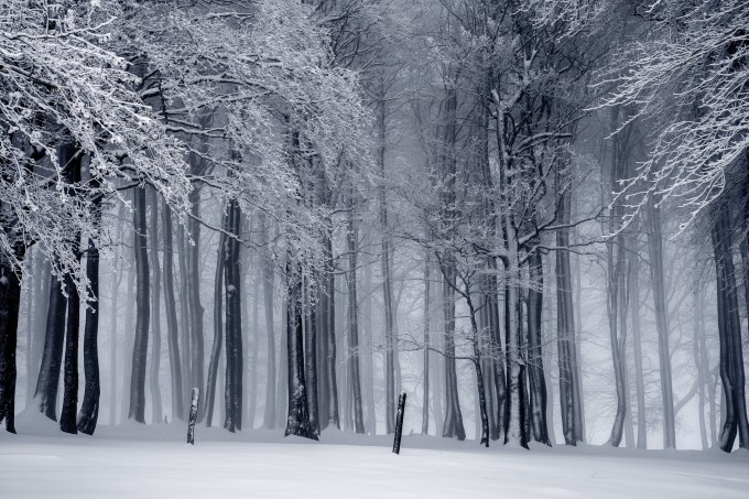 winter